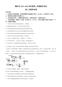 江西省赣州市2023-2024学年高二下学期7月期末考试 生物 Word版含解析