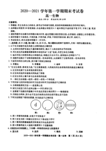 安徽省池州市2020-2021学年度（上）高一年级期末考试 生物