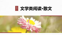 2024届高考一轮复习语文课件（新高考人教版）板块三　文学类阅读散文  14　概括内容主旨——删繁就简，钩玄提要