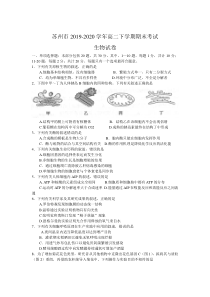 江苏省苏州市2019-2020学年高二下学期期末考试生物试卷含答案