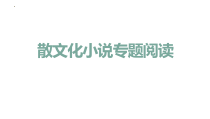 2023届高考语文复习-散文化小说课件16张