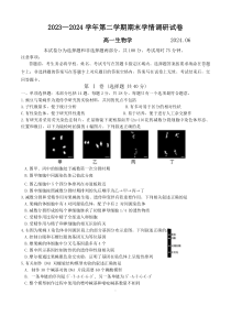 江苏省南京市江宁区2023-2024学年高一下学期期末考试 生物 Word版含答案