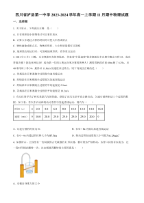 四川省泸州市泸县第一中学2023-2024学年高一上学期期中物理试题（原卷版）