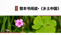 2024届高考一轮复习语文学案课件（新高考人教版）板块九　整本书阅读《乡土中国》79　乡土社会与法理社会——核心概念，理解迁移