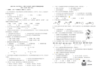 上海市2021-2022学年高一上学期《生命科学》合格考开学模拟检测试题1 含答案