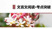 2024届高考一轮复习语文课件（新高考人教版）板块五　文言文阅读42　理解文言实词（二）——善于推断，代入比较