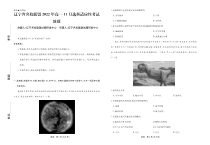 辽宁省名校联盟2022-2023学年高一11月选科适应性考试 地理 PDF版试题