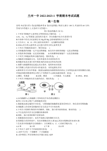 甘肃省兰州市一中2022-2023学年高一上学期期末考试生物试题 含答案