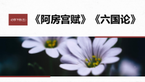 2024届高考一轮复习语文课件（新高考人教版）必修下册（五）　连点成线　整合突破