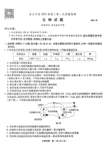 重庆市南开中学2025届高三上学期第二次质量检测生物试题 扫描版含答案.