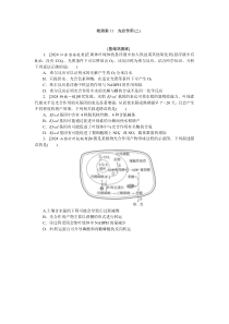 检测案11