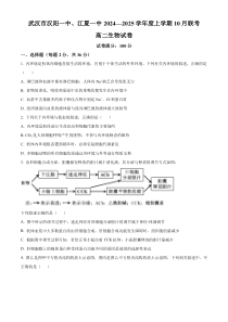 武汉市汉阳一中、江夏一中2024-2025学年高二上学期10月联考生物试卷 Word版无答案