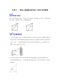 专项37 锐角三角函数实际应用-三角形+矩形模型（原卷版）-2022-2023学年九年级数学上册高分突破必练专题