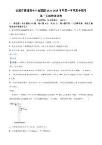 安徽省合肥市六校联盟2024-2025学年高一上学期期中考试物理试题  Word版含解析