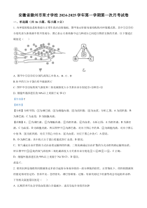 安徽省滁州市定远县育才学校2024-2025学年高二上学期第一次月考生物试题 Word版含解析