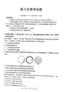 山西省部分学校2024-2025学年高三上学期9月联考试题 生物 PDF版含答案