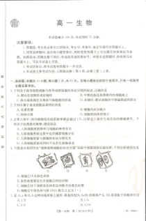 广东省2022-2023学年联考高一生物试题  PDF版