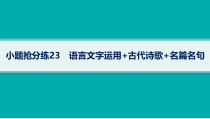 2024届高考二轮复习语文课件（老高考旧教材） 小题抢分练23　语言文字运用 古代诗歌 名篇名句