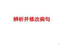 2023届高考语文复习：辨析并修改病句+课件120张