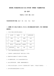 广东省深圳市第二外国语学校2020-2021学年高一上学期期末考试化学试题 含答案