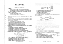 湖北省部分学校2023-2024学年高三上学期8月起点考试 生物