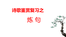 2023届高考语文二轮复习：《诗歌鉴赏专项复习之炼句》课件30张