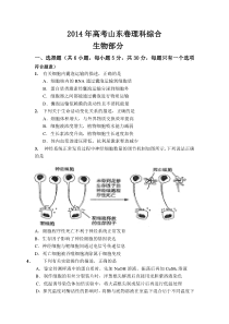 《历年高考生物真题试卷》2014年山东高考生物真题试卷(含答案)