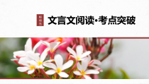 2024届高考一轮复习语文课件（宁陕蒙青川）板块五　文言文阅读 考点突破 138　识记文化常识——分类识记，辅以语境