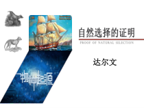 13.1《自然选择的证明》课件21张 2022-2023学年统编版高中语文选择性必修下册