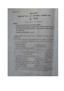 河南省驻马店市2020-2021学年高二上学期11校期中联考历史试题（图片版）