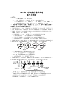 湖南省邵阳市武冈市2024-2025学年高三上学期期中考试生物试题 Word版含答案