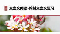 2024届高考一轮复习语文课件（宁陕蒙青川）板块五　文言文阅读 教材文言文复习 34　《逍遥游》《陈情表》《阿房宫赋》