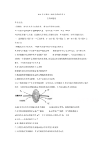 湖南省邵阳市新邵县2021届高三上学期新高考适应性考试 生物 含答案