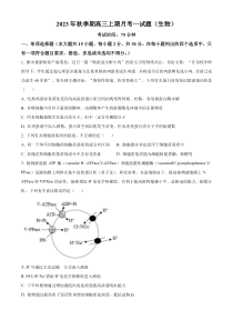 广西壮族自治区博白县中学2023-2024学年高三上学期10月第一次月考生物试题（原卷版）