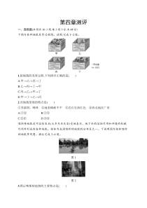 第四章测评