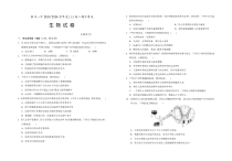 宁夏回族自治区银川一中2023-2024学年高二上学期期中考试+生物+含答案