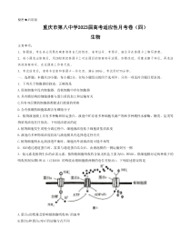 重庆市第八中学2022-2023学年高考适应性月考卷（四）生物试题