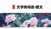 2024届高考一轮复习语文课件（宁陕蒙青川）板块四　文学类阅读 散文 24　精准判断选择题（小说、散文）——全面阅读关注细节 Word版