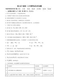 四川省广安市华蓥市华蓥中学2024-2025学年高一上学期11月期中化学试题 Word版无答案