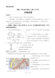 四川省南充市嘉陵第一中学2024-2025学年高二上学期10月月考试题 生物 Word版含答案