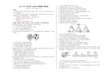 2024-2025学年高一上学期期中模拟考试生物试题（人教版2019，第1_4章）01 Word版含解析