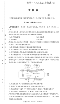 湖南省长沙市第一中学2023-2024学年高三上学期月考卷（四）生物