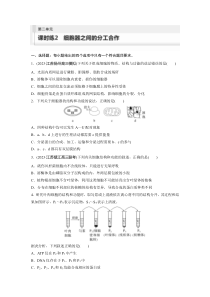 2024届高考一轮复习生物练习（新教材人教版鲁湘辽）第二单元　细胞的基本结构和物质的运输 课时练2　细胞器之间的分工合作 Word版