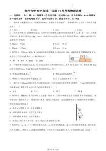 湖北省武汉市武汉六中2023-2024学年高一上学期11月月考物理试题（PDF）