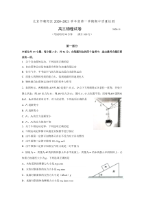 北京市朝阳区2021届高三上学期期中考试物理试题含答案