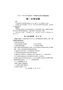 山东省聊城市2019-2020学年高一下学期期末考试生物试题扫描版含答案