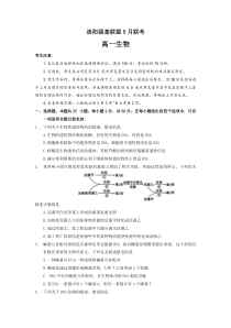 河南省洛阳市强基联盟2022-2023学年高一下学期5月联考生物试题+含解析