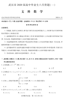 湖北省武汉市2020届高三毕业生六月供题（一）文科数学试题（PDF版 ）