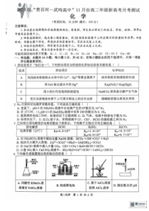 化学级贵百河一武鸣高中(1)