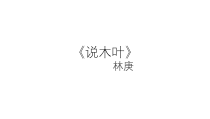 9.《说“木叶”》课件20张PPT 年统编版高中语文必修下册